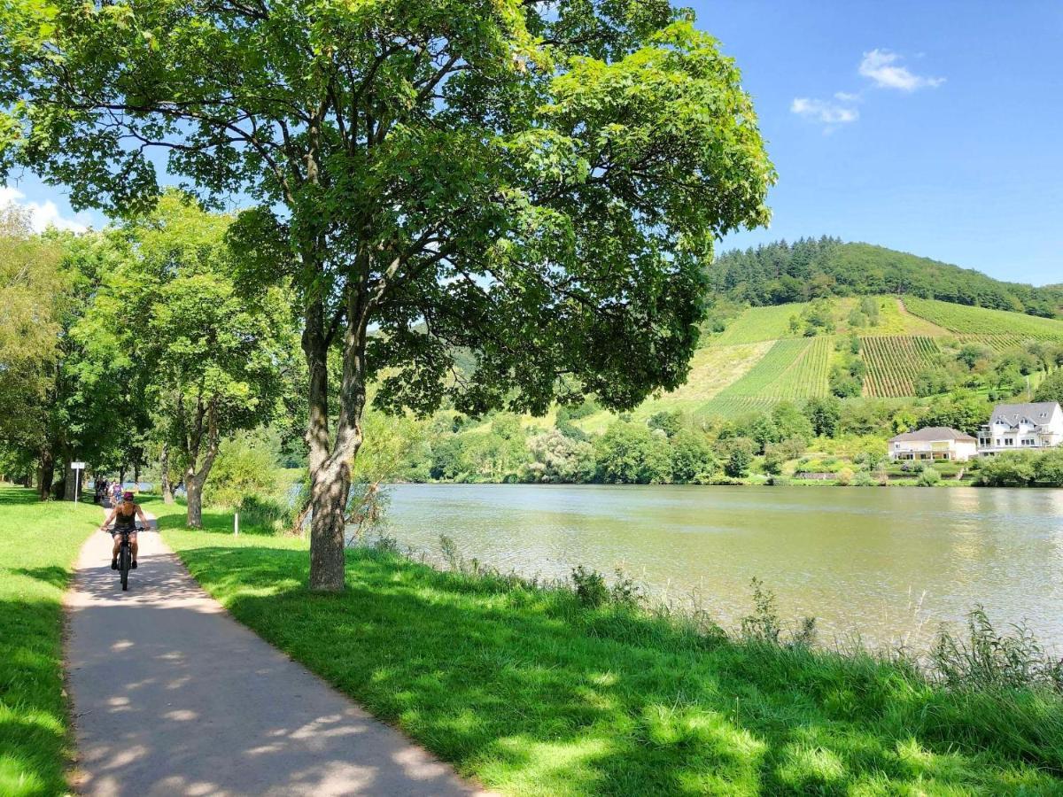 Ferienhaus Am Moselradweg 摩泽尔河畔的泽尔 外观 照片