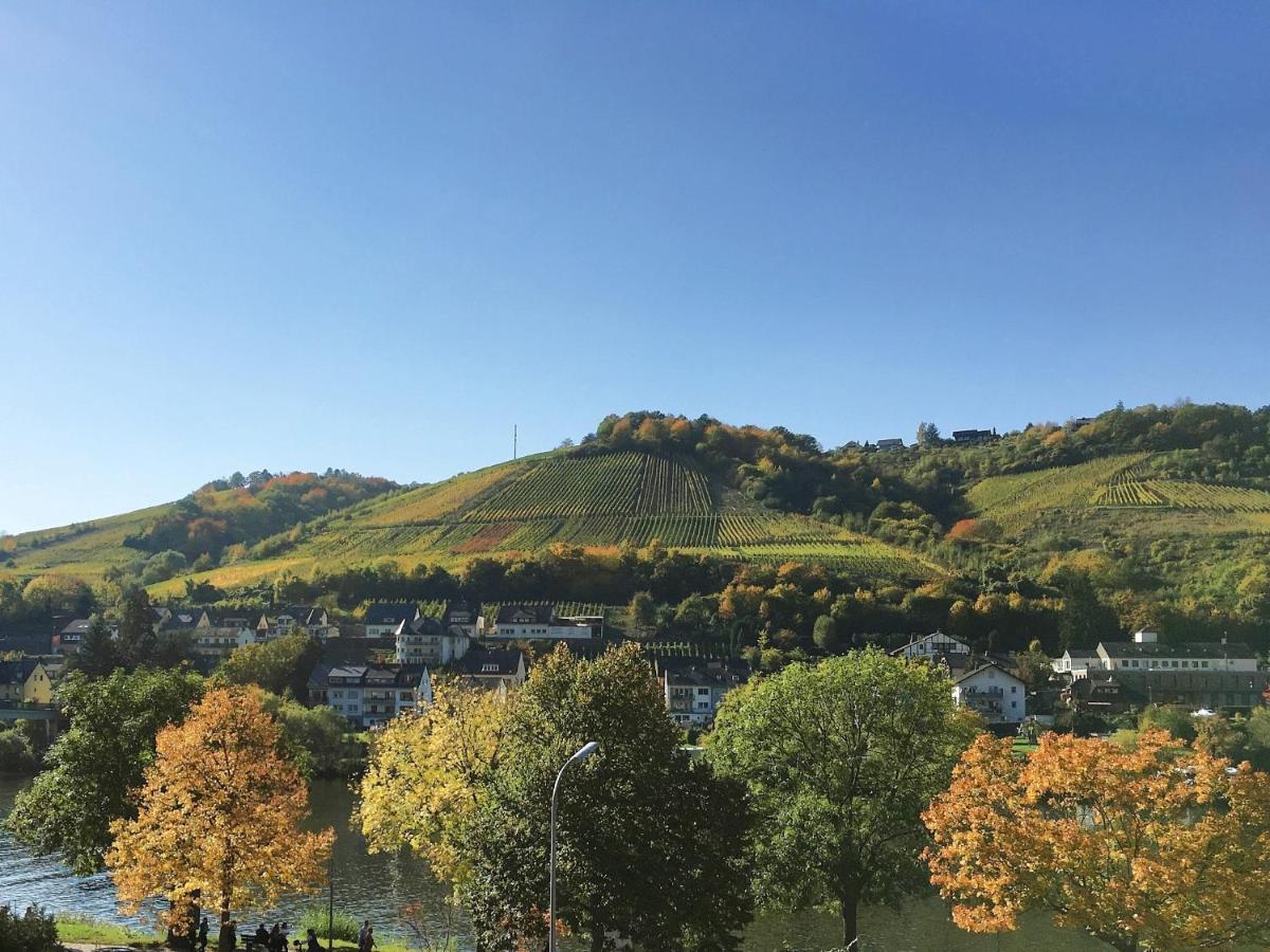 Ferienhaus Am Moselradweg 摩泽尔河畔的泽尔 外观 照片