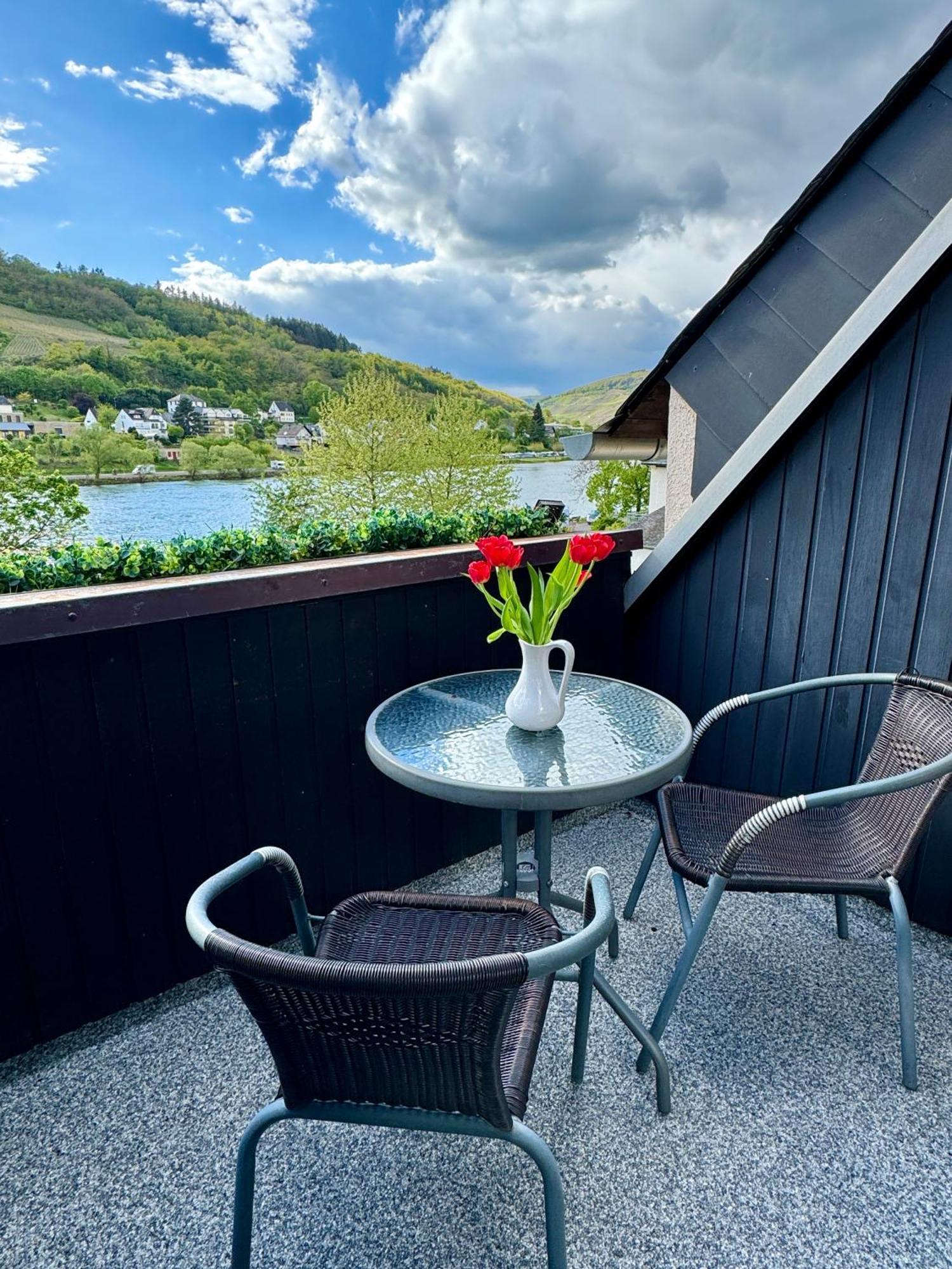 Ferienhaus Am Moselradweg 摩泽尔河畔的泽尔 外观 照片